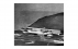 Fundação Oscar Niemeyer