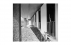 Fundação Oscar Niemeyer