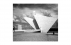 Fundação Oscar Niemeyer