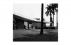 Fundação Oscar Niemeyer